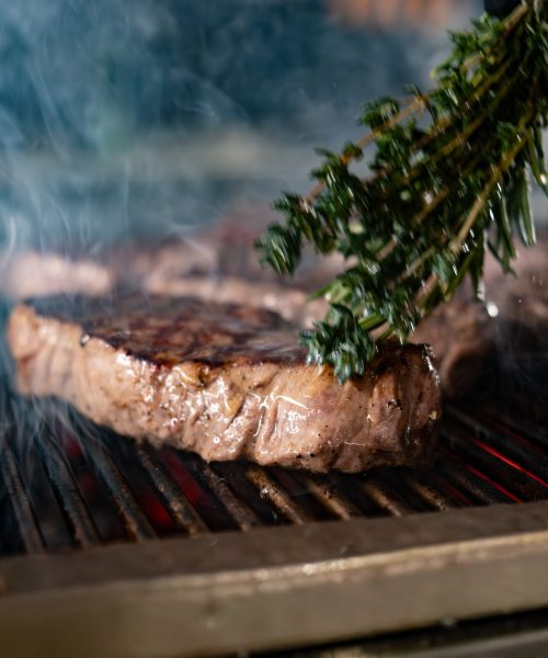 arisevision-thegrill-umbau-2000px-125